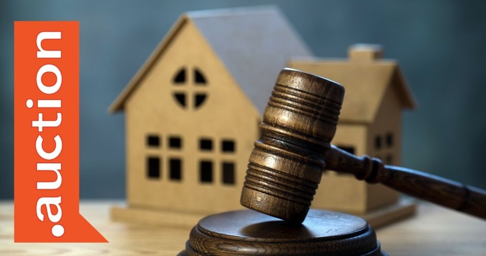 dot-auction-domain
