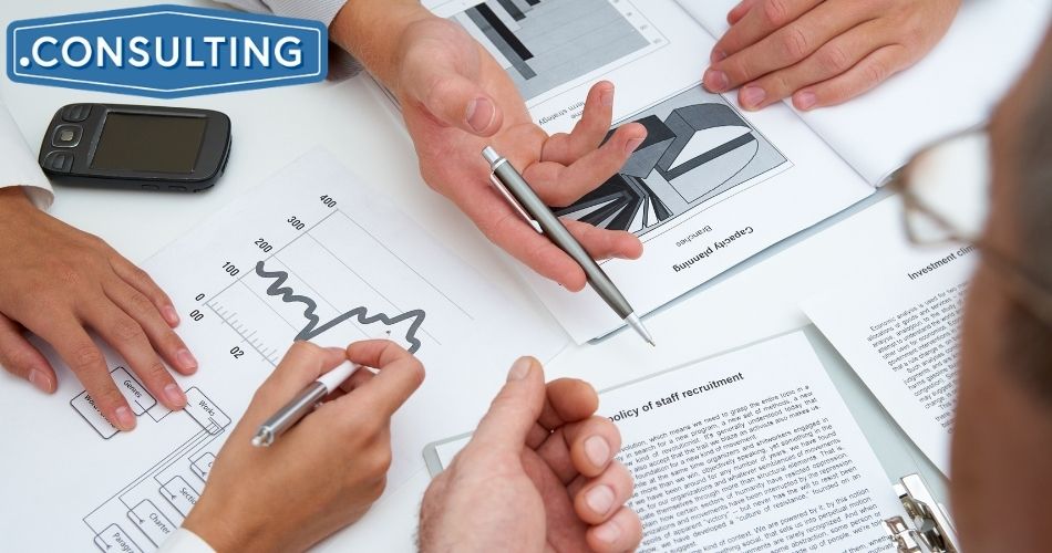 dot-consulting-domain