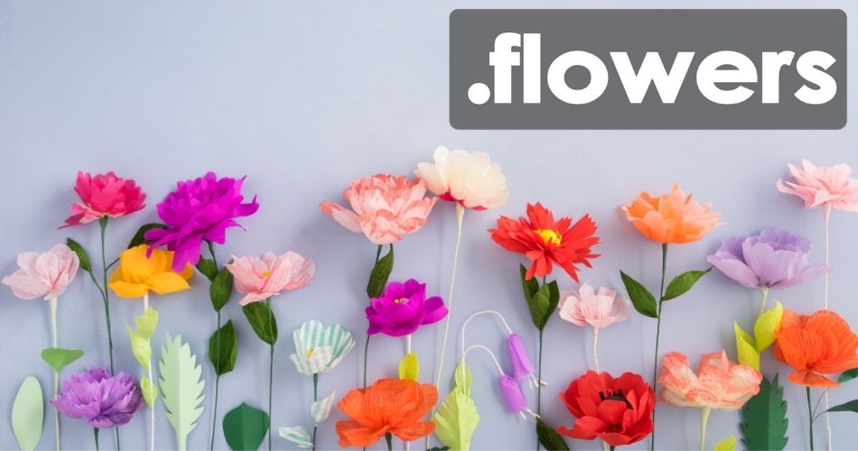 dot-flower-domain-top