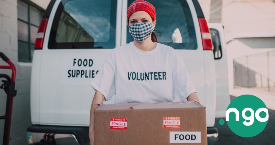 dot-ngo-domain