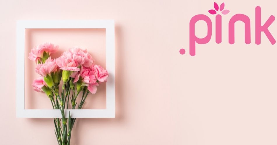dot-pink-domain