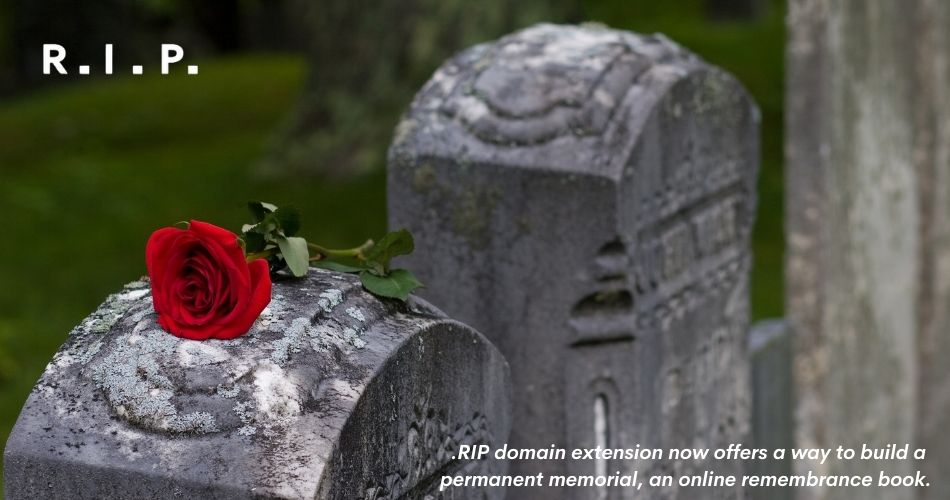dot-rip-domain