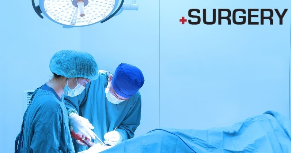 dot-surgery-domain